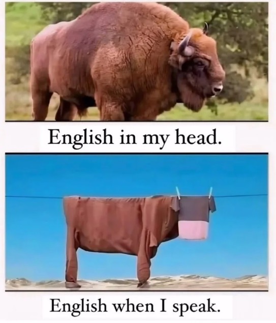 A bison with a blanket on a clothes line

AI-generated content may be incorrect.